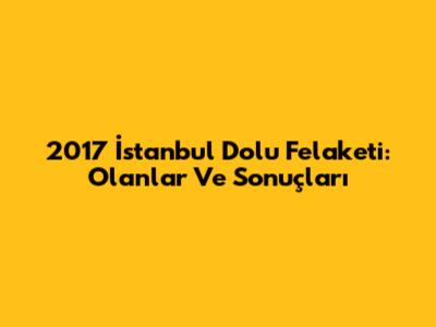 2017 İstanbul Dolu Felaketi: Olanlar Ve Sonuçları