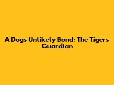 A Dog's Unlikely Bond: The Tiger's Guardian
