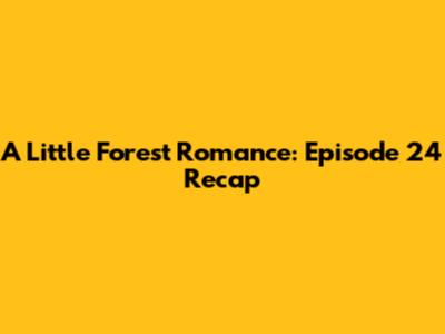 A Little Forest Romance: Episode 24 Recap