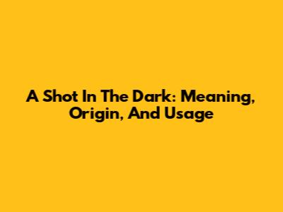 A Shot In The Dark: Meaning, Origin, And Usage