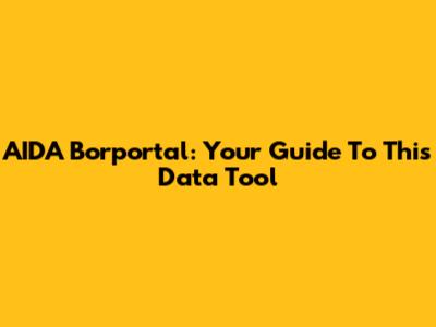 AIDA Borportal: Your Guide To This Data Tool