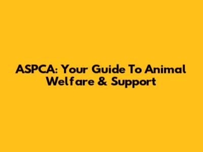 ASPCA: Your Guide To Animal Welfare & Support