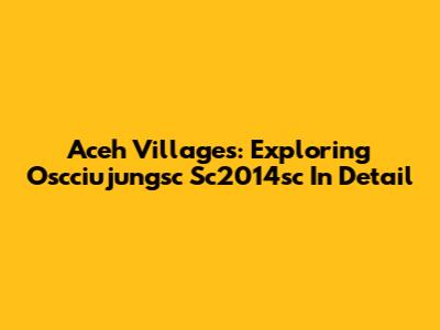 Aceh Villages: Exploring Oscciujungsc Sc2014sc In Detail