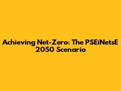 Achieving Net-Zero: The PSEiNetsE 2050 Scenario