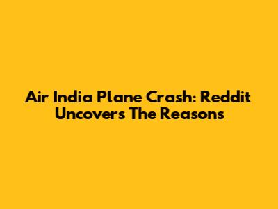 Air India Plane Crash: Reddit Uncovers The Reasons