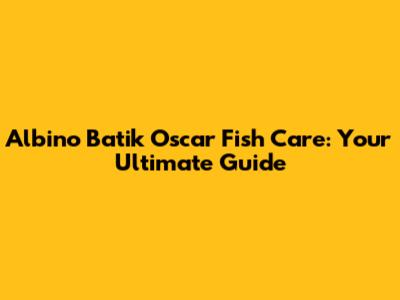 Albino Batik Oscar Fish Care: Your Ultimate Guide
