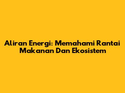Aliran Energi: Memahami Rantai Makanan Dan Ekosistem
