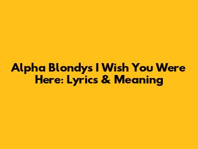 Alpha Blondy's 'I Wish You Were Here': Lyrics & Meaning