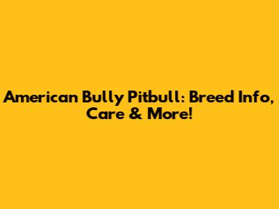 American Bully Pitbull: Breed Info, Care & More!