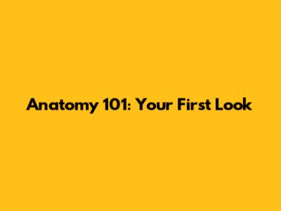 Anatomy 101: Your First Look