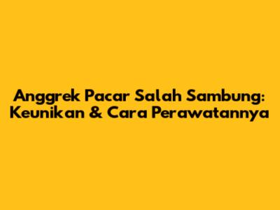 Anggrek Pacar Salah Sambung: Keunikan & Cara Perawatannya
