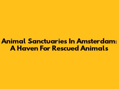Animal Sanctuaries In Amsterdam: A Haven For Rescued Animals