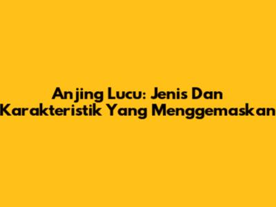 Anjing Lucu: Jenis Dan Karakteristik Yang Menggemaskan