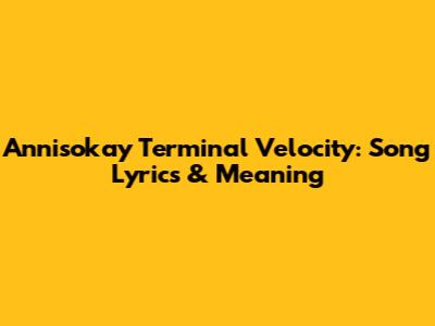 Annisokay Terminal Velocity: Song Lyrics & Meaning