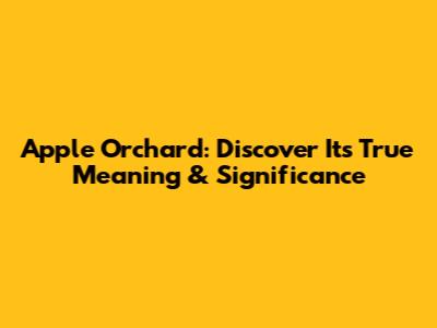 Apple Orchard: Discover Its True Meaning & Significance