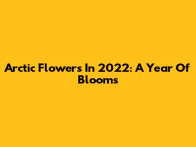 Arctic Flowers In 2022: A Year Of Blooms