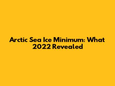 Arctic Sea Ice Minimum: What 2022 Revealed