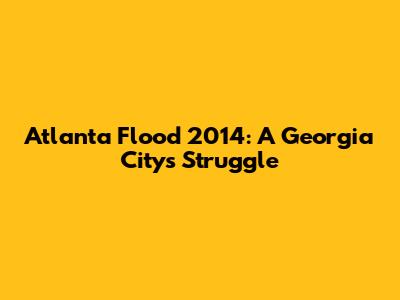 Atlanta Flood 2014: A Georgia City's Struggle