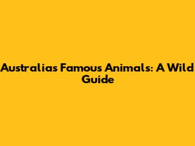 Australia's Famous Animals: A Wild Guide