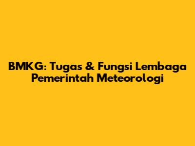 BMKG: Tugas & Fungsi Lembaga Pemerintah Meteorologi