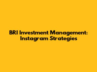 BRI Investment Management: Instagram Strategies