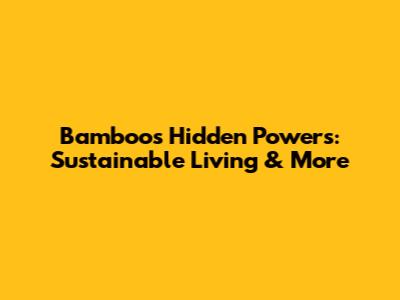 Bamboo's Hidden Powers: Sustainable Living & More