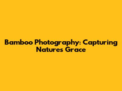 Bamboo Photography: Capturing Nature's Grace