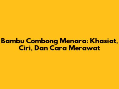 Bambu Combong Menara: Khasiat, Ciri, Dan Cara Merawat
