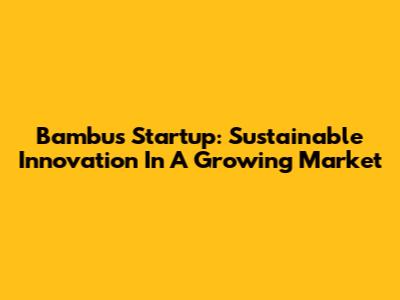 Bambus Startup: Sustainable Innovation In A Growing Market