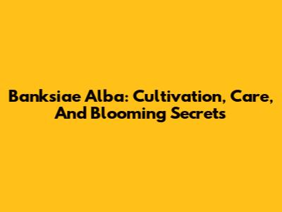 Banksiae Alba: Cultivation, Care, And Blooming Secrets
