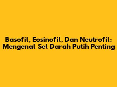 Basofil, Eosinofil, Dan Neutrofil: Mengenal Sel Darah Putih Penting