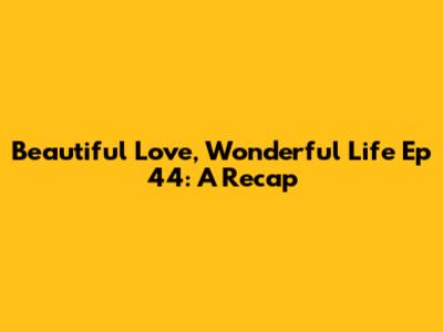 Beautiful Love, Wonderful Life Ep 44: A Recap