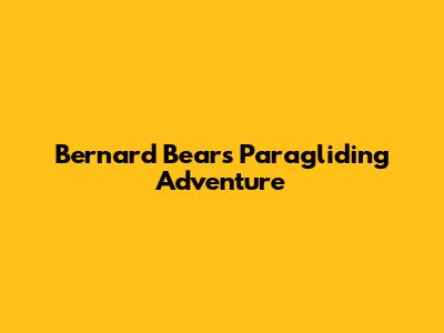 Bernard Bear's Paragliding Adventure