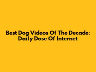Best Dog Videos Of The Decade: Daily Dose Of Internet