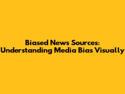 Biased News Sources: Understanding Media Bias Visually