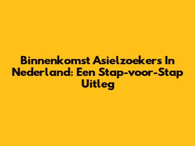 Binnenkomst Asielzoekers In Nederland: Een Stap-voor-Stap Uitleg