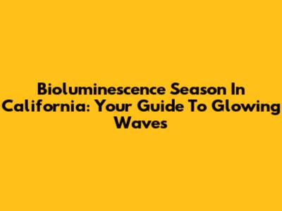Bioluminescence Season In California: Your Guide To Glowing Waves