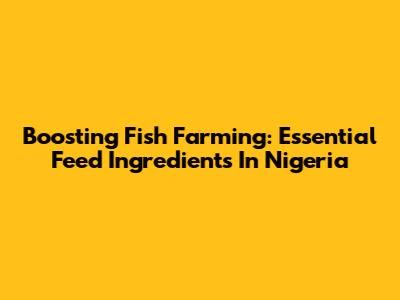 Boosting Fish Farming: Essential Feed Ingredients In Nigeria