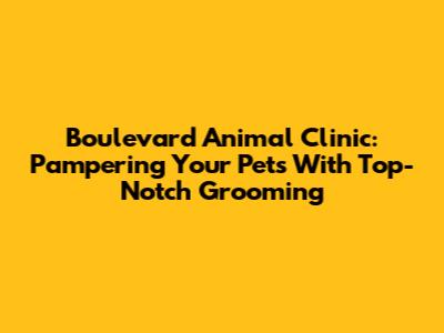 Boulevard Animal Clinic: Pampering Your Pets With Top-Notch Grooming