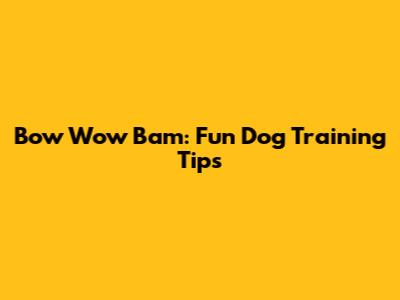 Bow Wow Bam: Fun Dog Training Tips