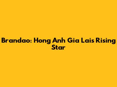 Brandao: Hong Anh Gia Lai's Rising Star