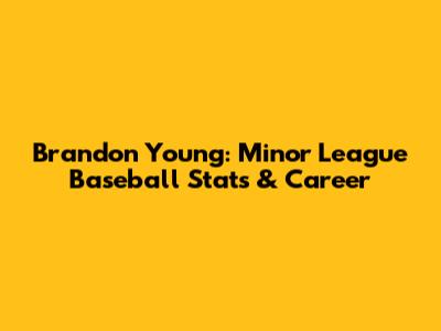 Brandon Young: Minor League Baseball Stats & Career
