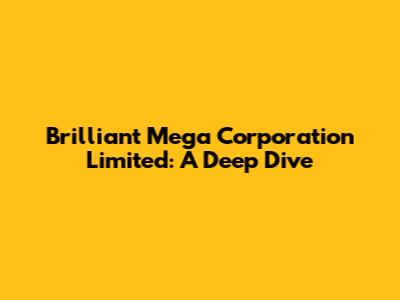 Brilliant Mega Corporation Limited: A Deep Dive