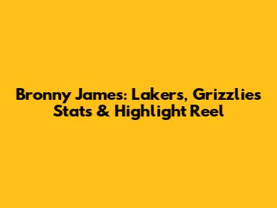 Bronny James: Lakers, Grizzlies Stats & Highlight Reel