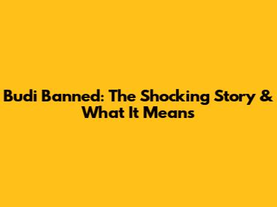Budi Banned: The Shocking Story & What It Means