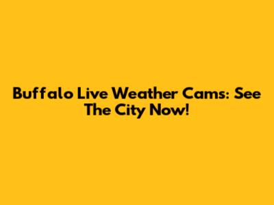 Buffalo Live Weather Cams: See The City Now!