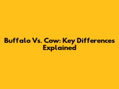 Buffalo Vs. Cow: Key Differences Explained