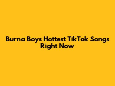 Burna Boy's Hottest TikTok Songs Right Now