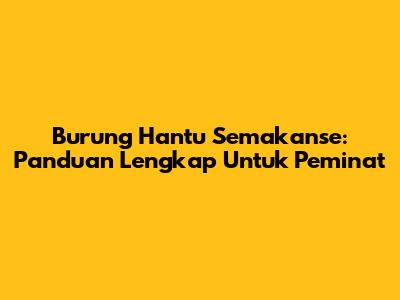 Burung Hantu Semakanse: Panduan Lengkap Untuk Peminat