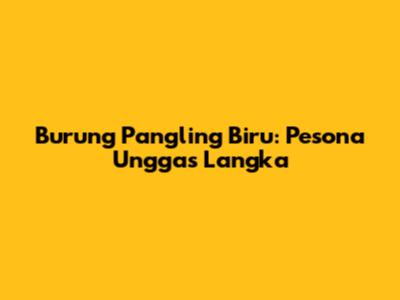 Burung Pangling Biru: Pesona Unggas Langka